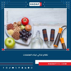 نظام غذائي لبناء العضلات