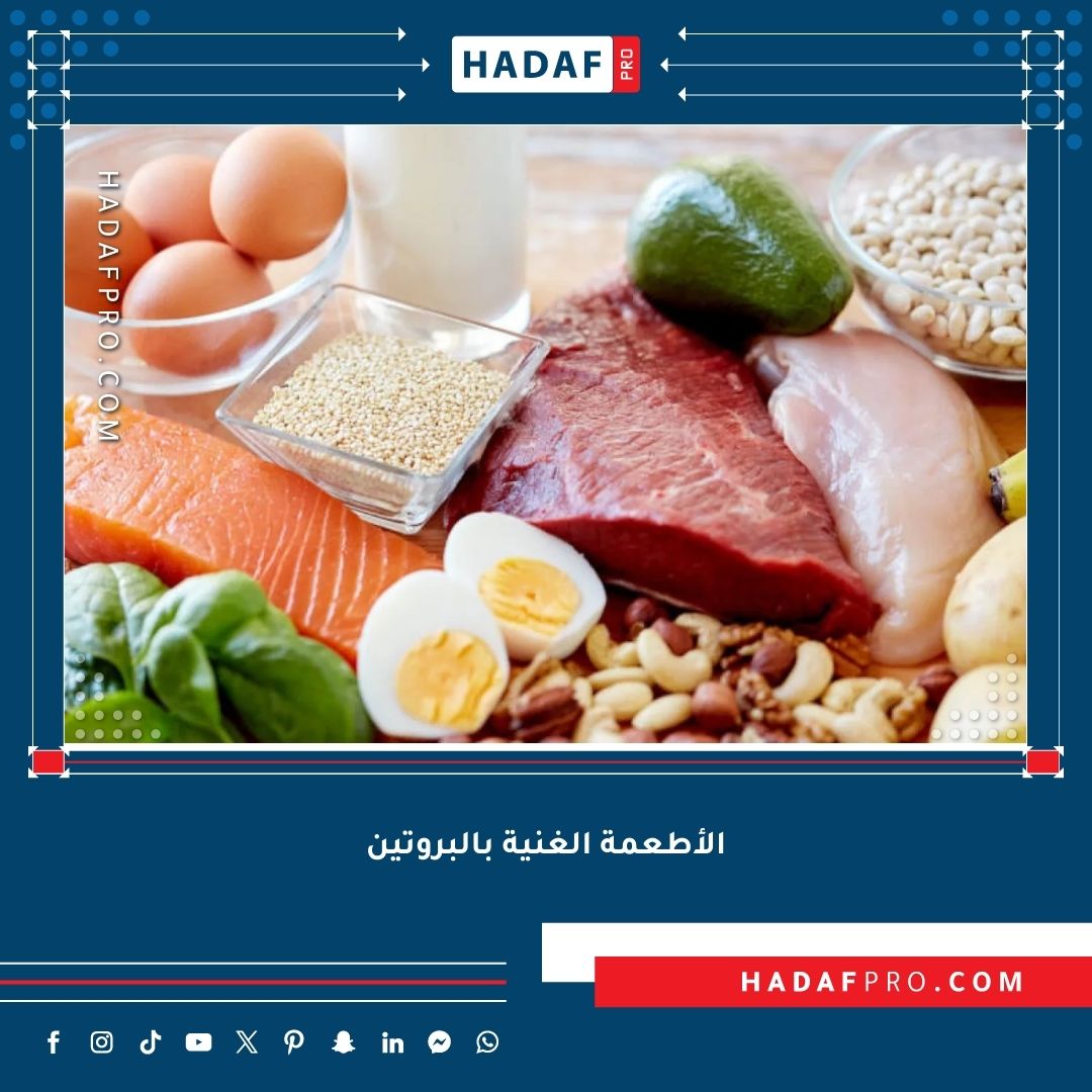 You are currently viewing فوائد الأطعمة الغنية بالبروتين