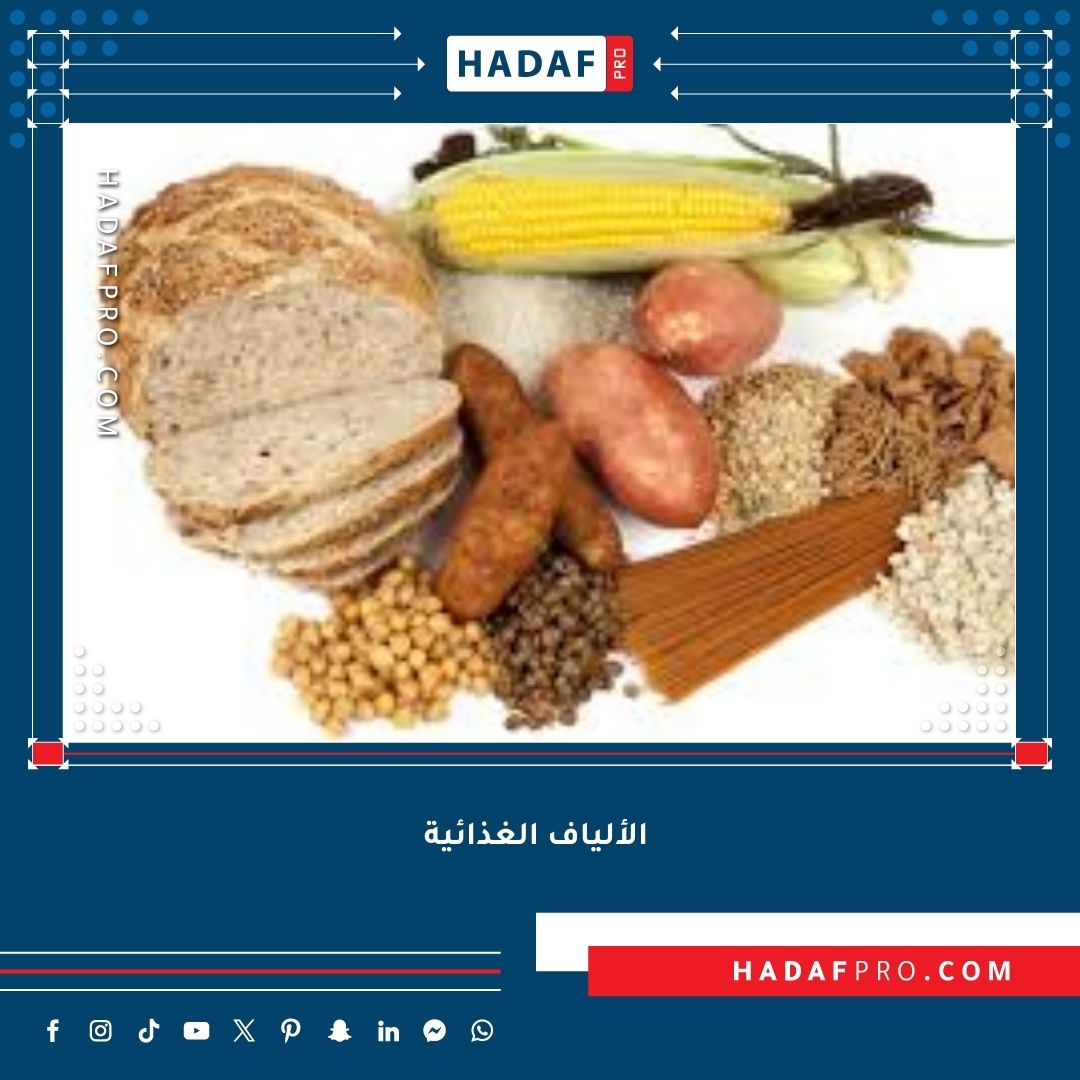 You are currently viewing ما هي فوائد الألياف الغذائية؟