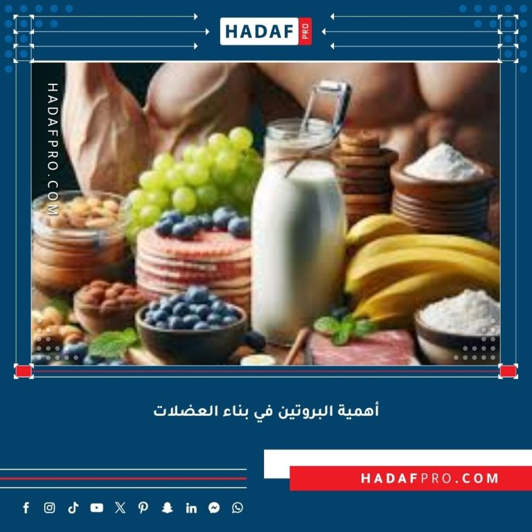 Read more about the article أهمية البروتين في بناء العضلات – دليل شامل