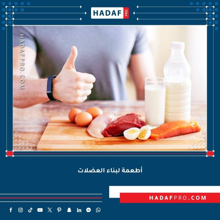Read more about the article أفضل أطعمة لبناء العضلات بعد التمرين