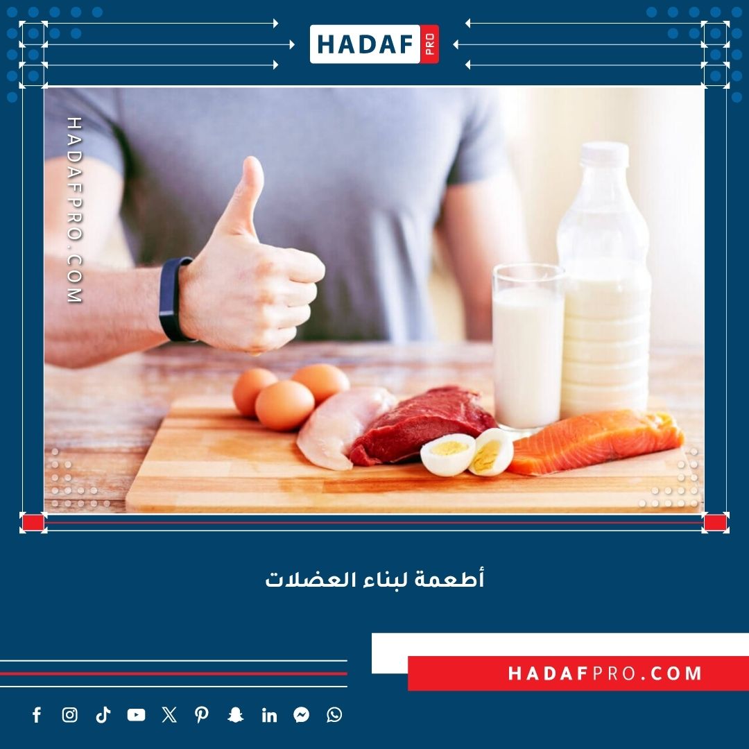 You are currently viewing أفضل أطعمة لبناء العضلات بعد التمرين