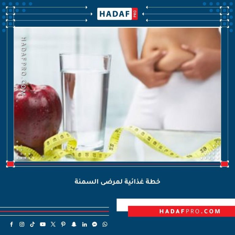Read more about the article أفضل خطة غذائية لمرضى السمنة