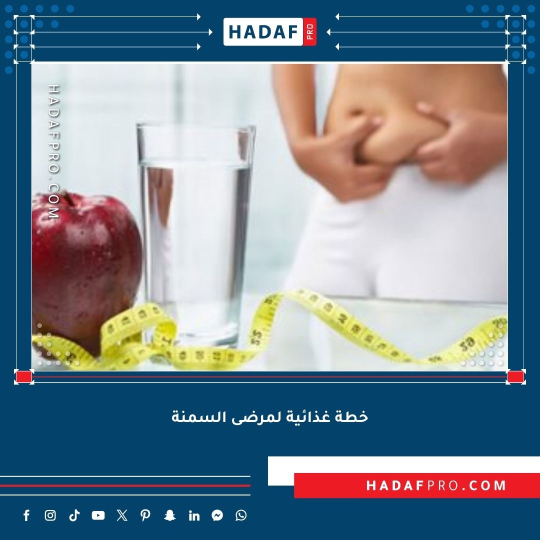 You are currently viewing أفضل خطة غذائية لمرضى السمنة